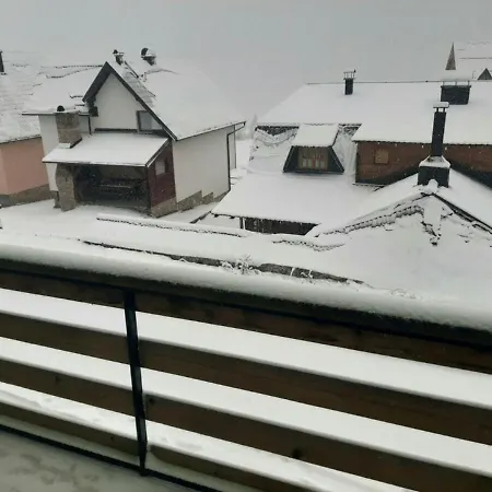 Zeleni